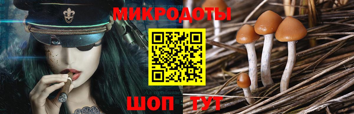 закладки  Галлюциногенные грибы прущие грибы  Вход с VPN  Строитель 